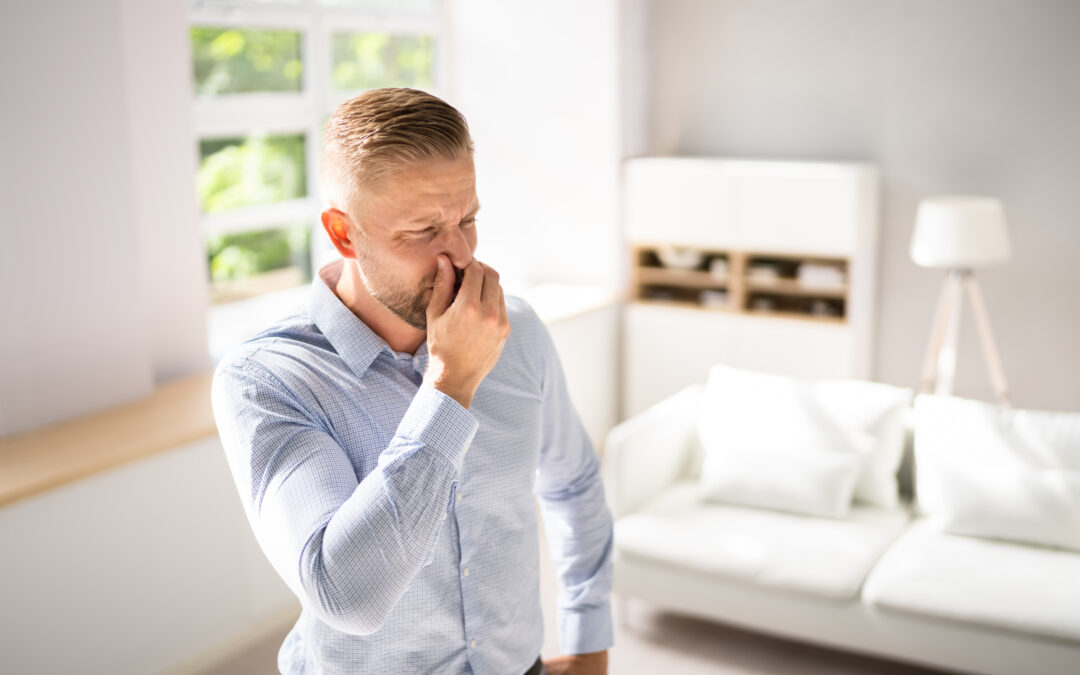 What’s That Smell? Eliminating Foul Odours in Your Home and Business