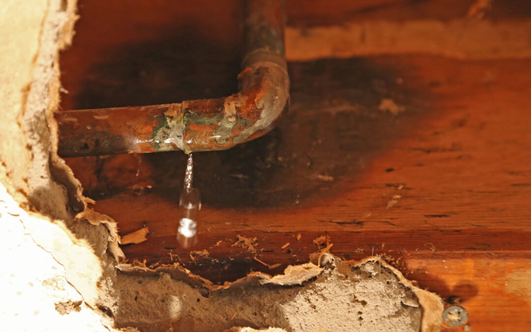 Five Common Sources of Water Damage And What You Can Do To Prevent Them